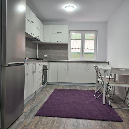 Apartament Terra Daire Targoviste Dış mekan fotoğraf